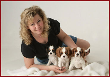 Saranade Cavalier King Charles Spaniels by breeder Penny Freberg With Puppies